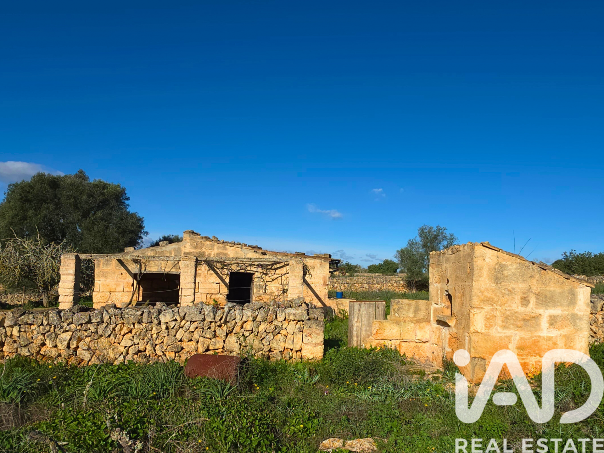 Działka w Santa Margalida, Mallorca, Hiszpania 14125 mkw. nr 185506