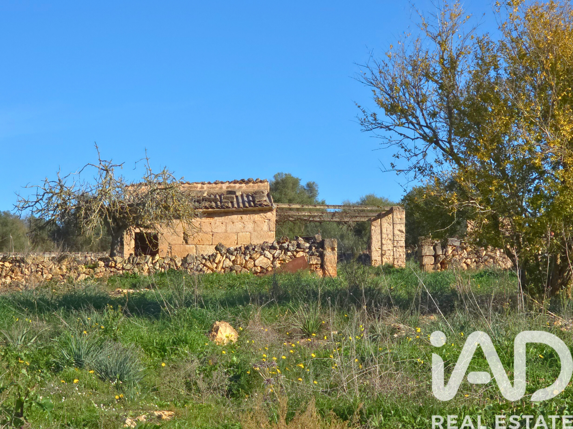Działka w Santa Margalida, Mallorca, Hiszpania 14125 mkw. nr 185506