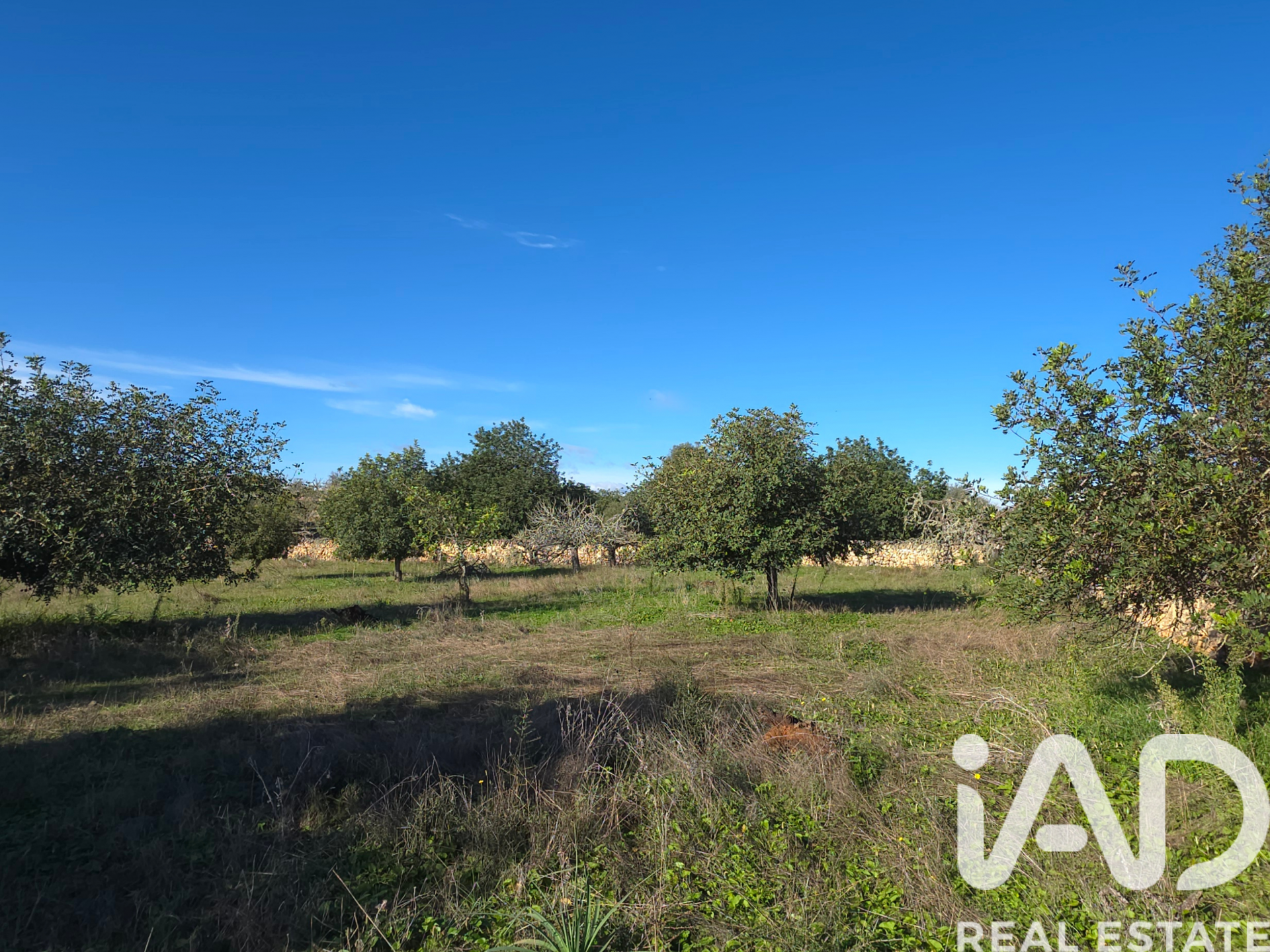 Działka w Santa Margalida, Mallorca, Hiszpania 14172 mkw. nr 185505