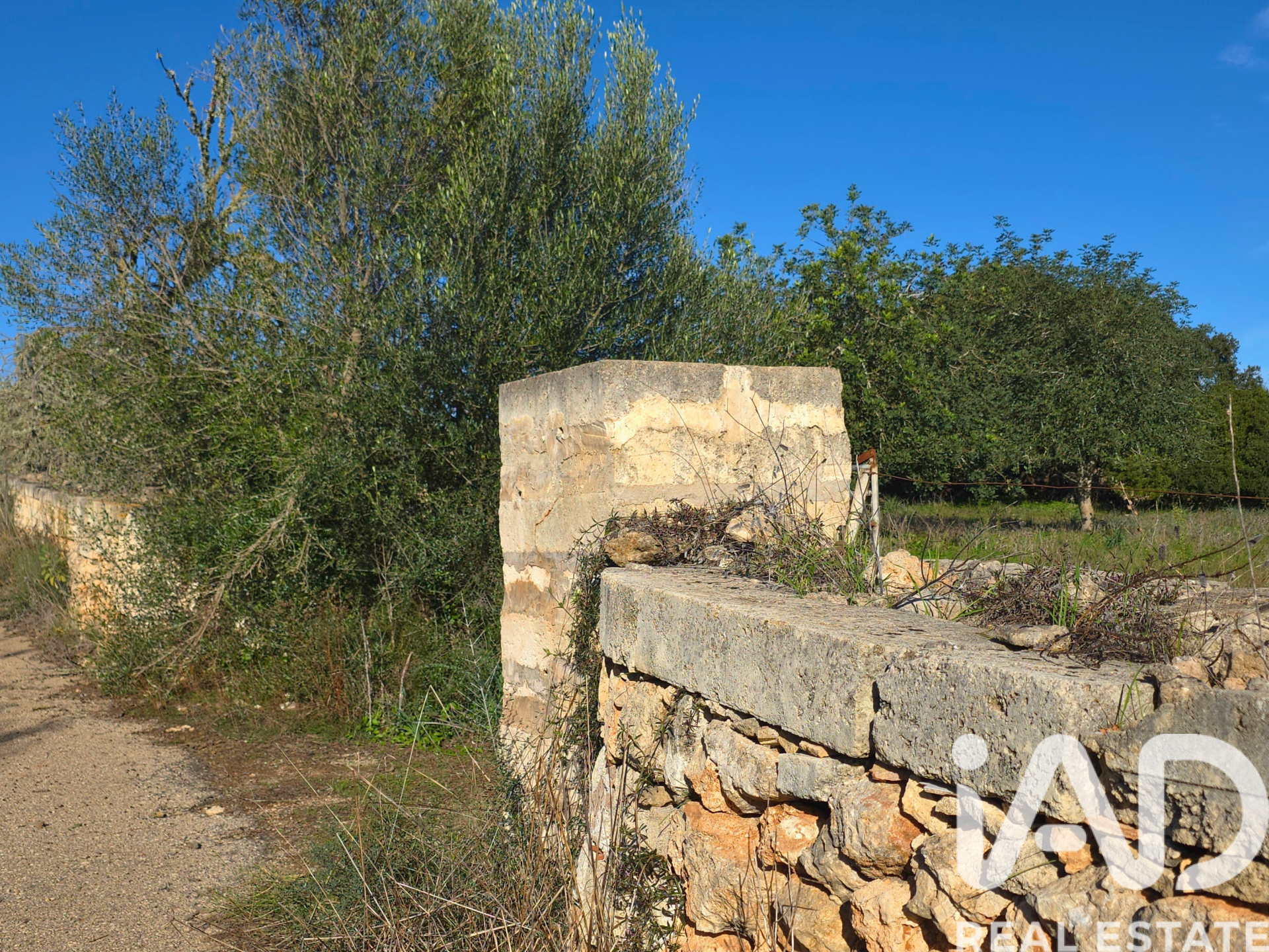 Działka w Santa Margalida, Mallorca, Hiszpania 14172 mkw. nr 185505