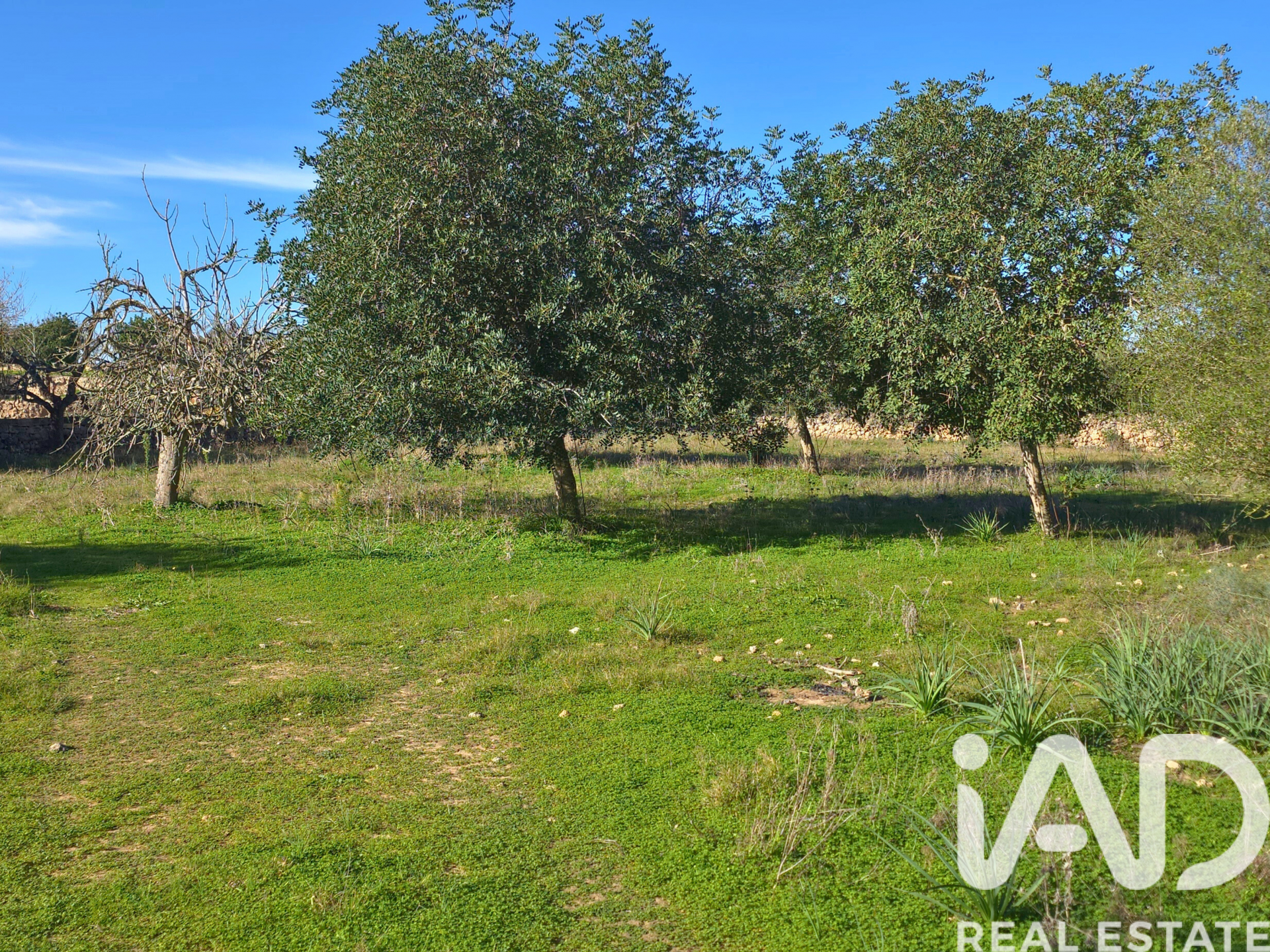 Działka w Santa Margalida, Mallorca, Hiszpania 14172 mkw. nr 185505