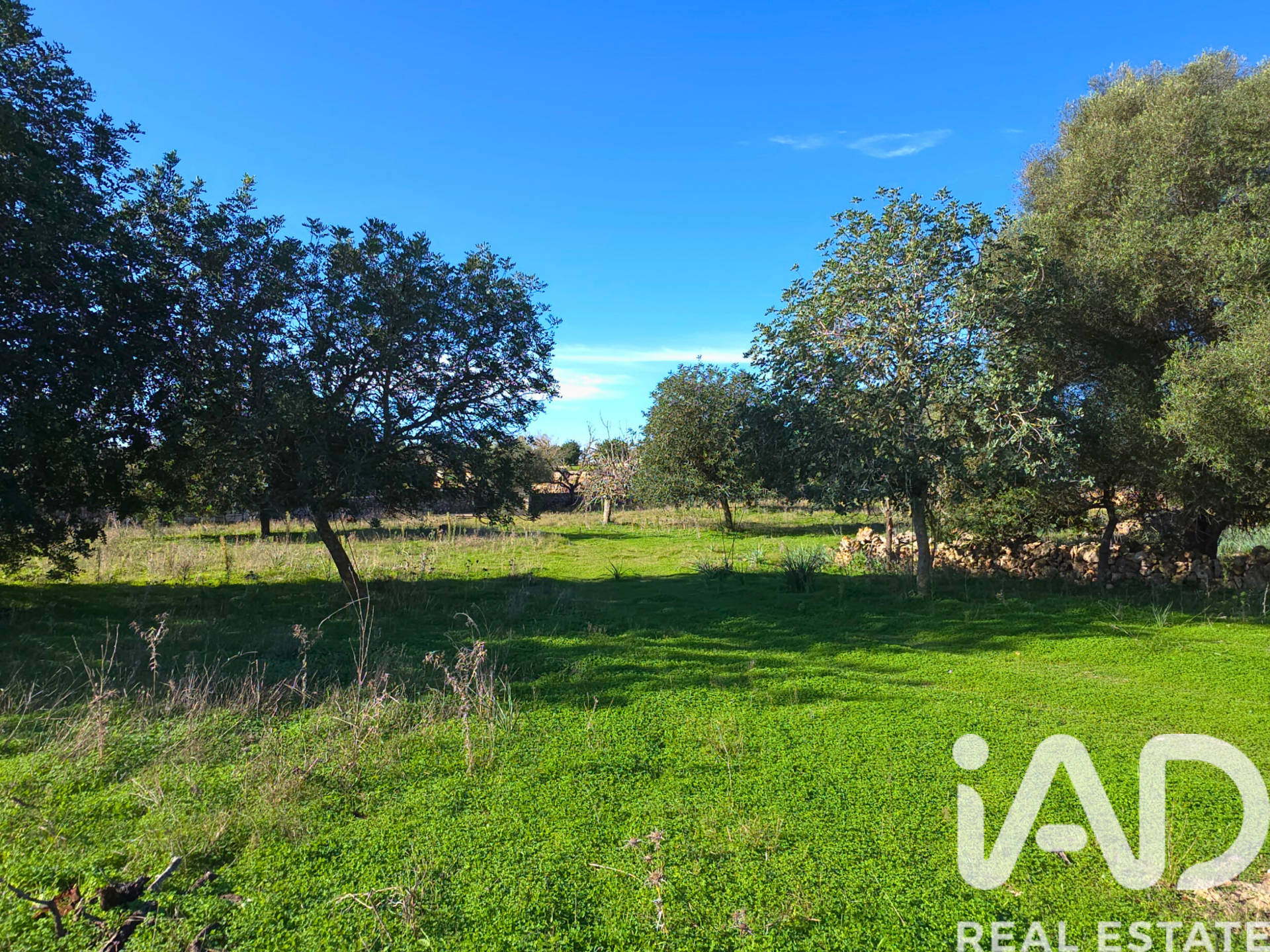 Działka w Santa Margalida, Mallorca, Hiszpania 14172 mkw. nr 185505