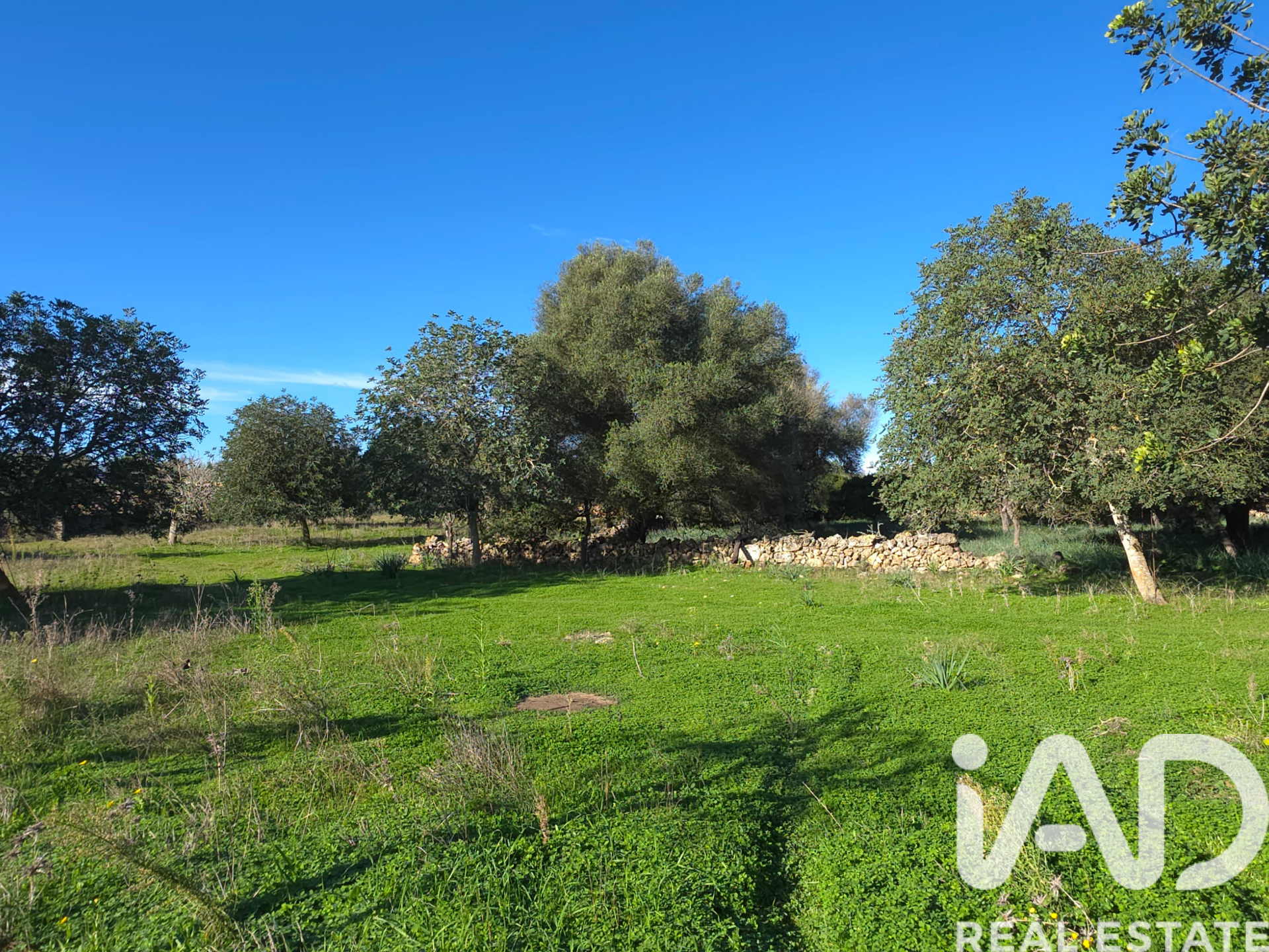 Działka w Santa Margalida, Mallorca, Hiszpania 14172 mkw. nr 185505