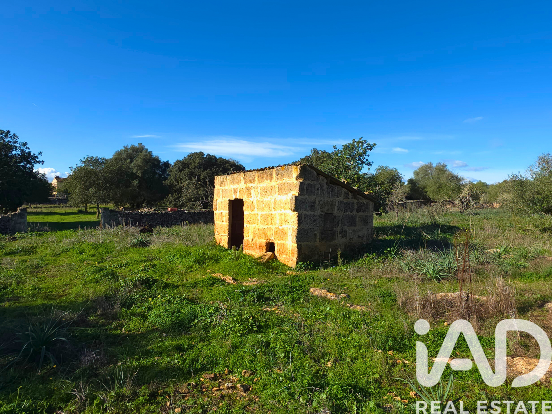Działka w Santa Margalida, Mallorca, Hiszpania 14172 mkw. nr 185505