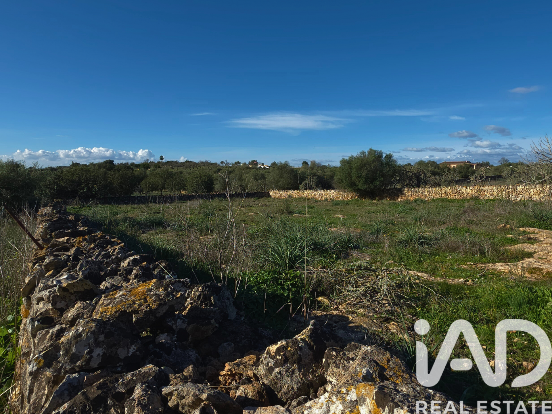 Działka w Santa Margalida, Mallorca, Hiszpania 14172 mkw. nr 185505