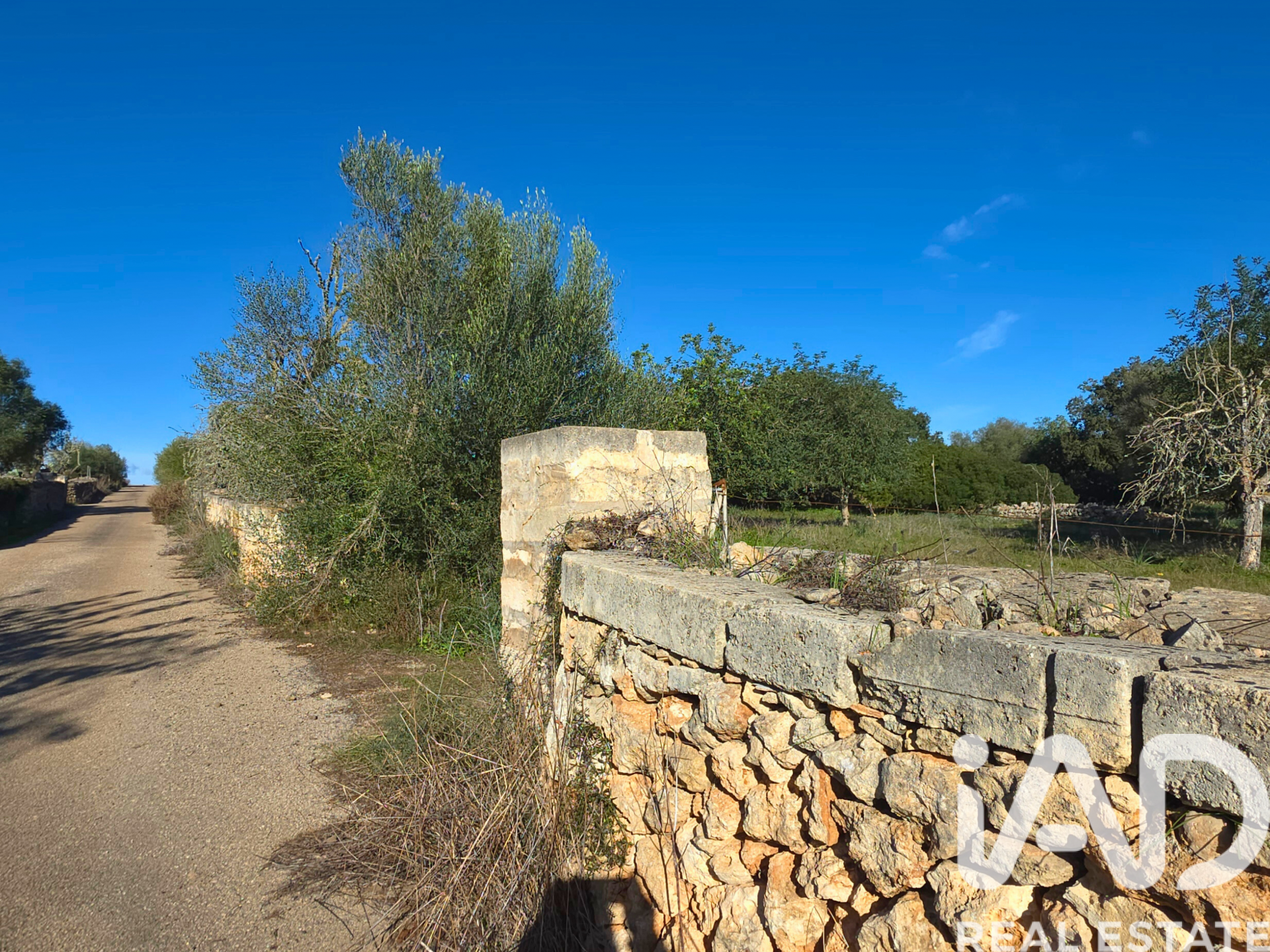 Działka w Santa Margalida, Mallorca, Hiszpania 14172 mkw. nr 185505