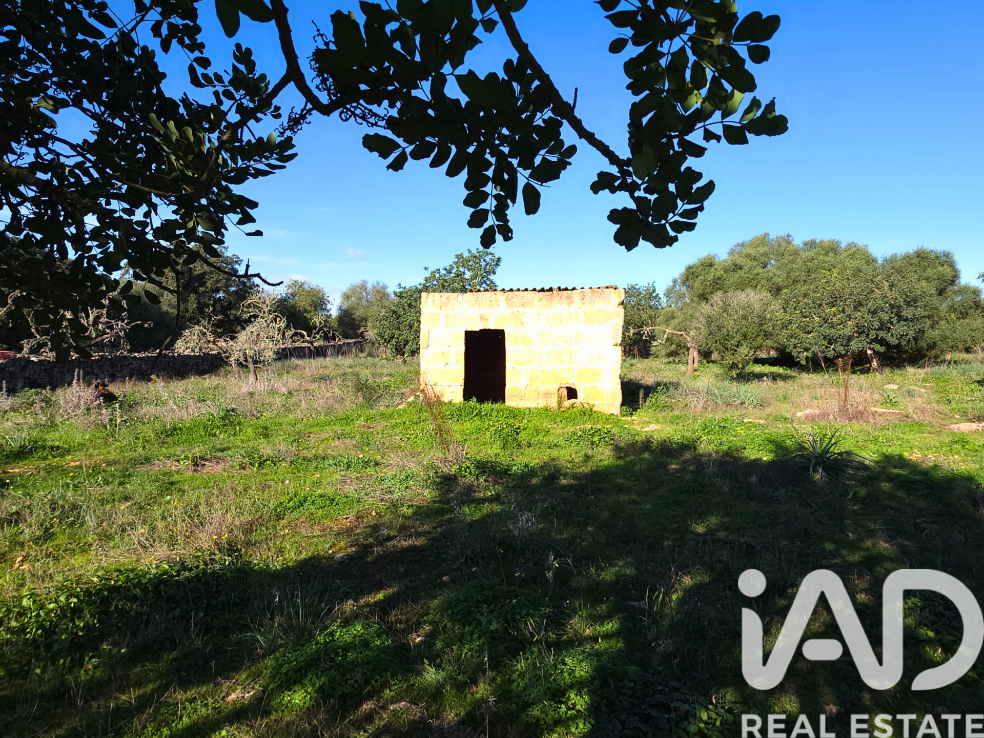 Działka w Santa Margalida, Mallorca, Hiszpania 14172 mkw. nr 185505