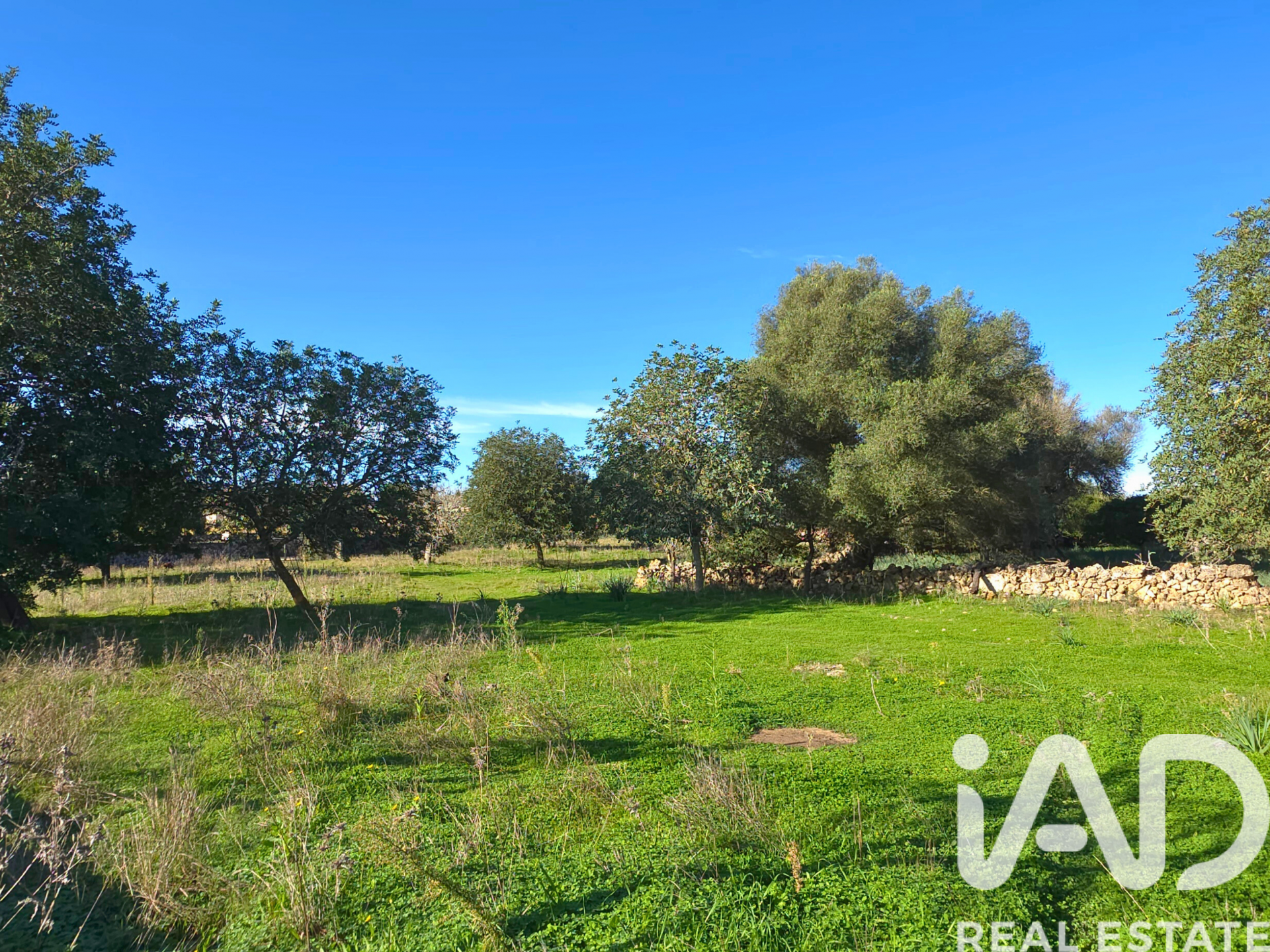 Działka w Santa Margalida, Mallorca, Hiszpania 14172 mkw. nr 185505
