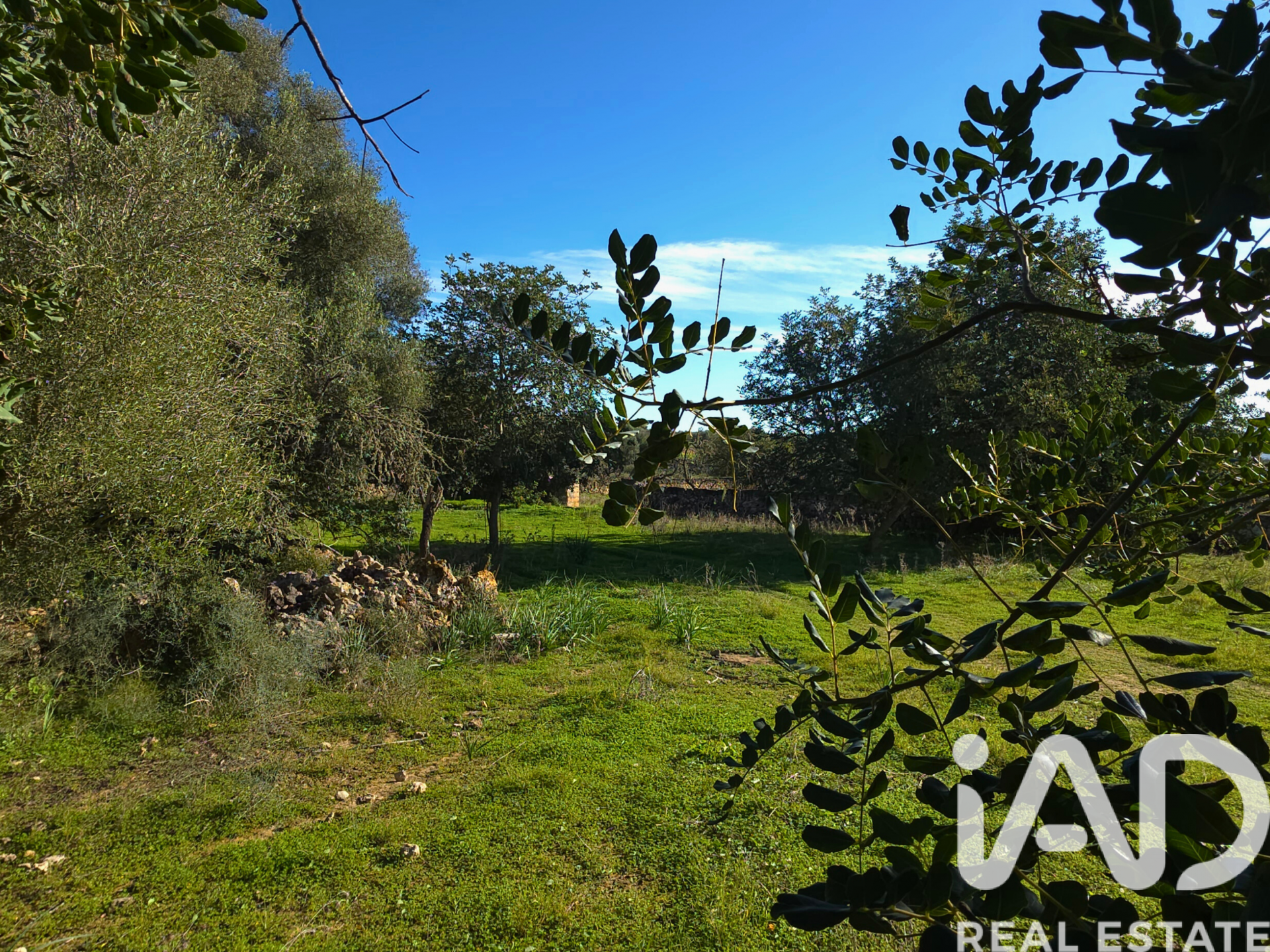 Działka w Santa Margalida, Mallorca, Hiszpania 14172 mkw. nr 185505