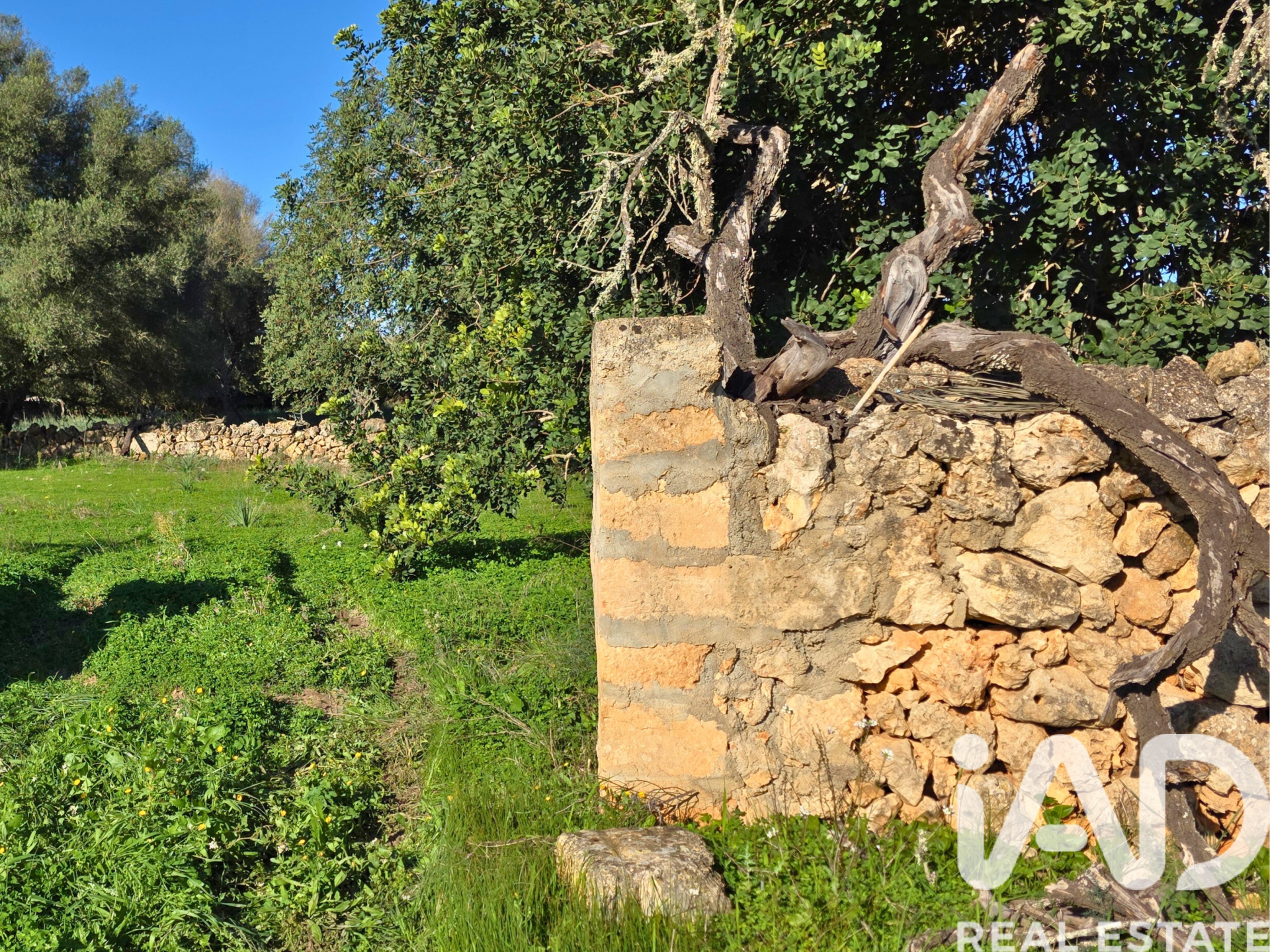 Działka w Santa Margalida, Mallorca, Hiszpania 14172 mkw. nr 185505