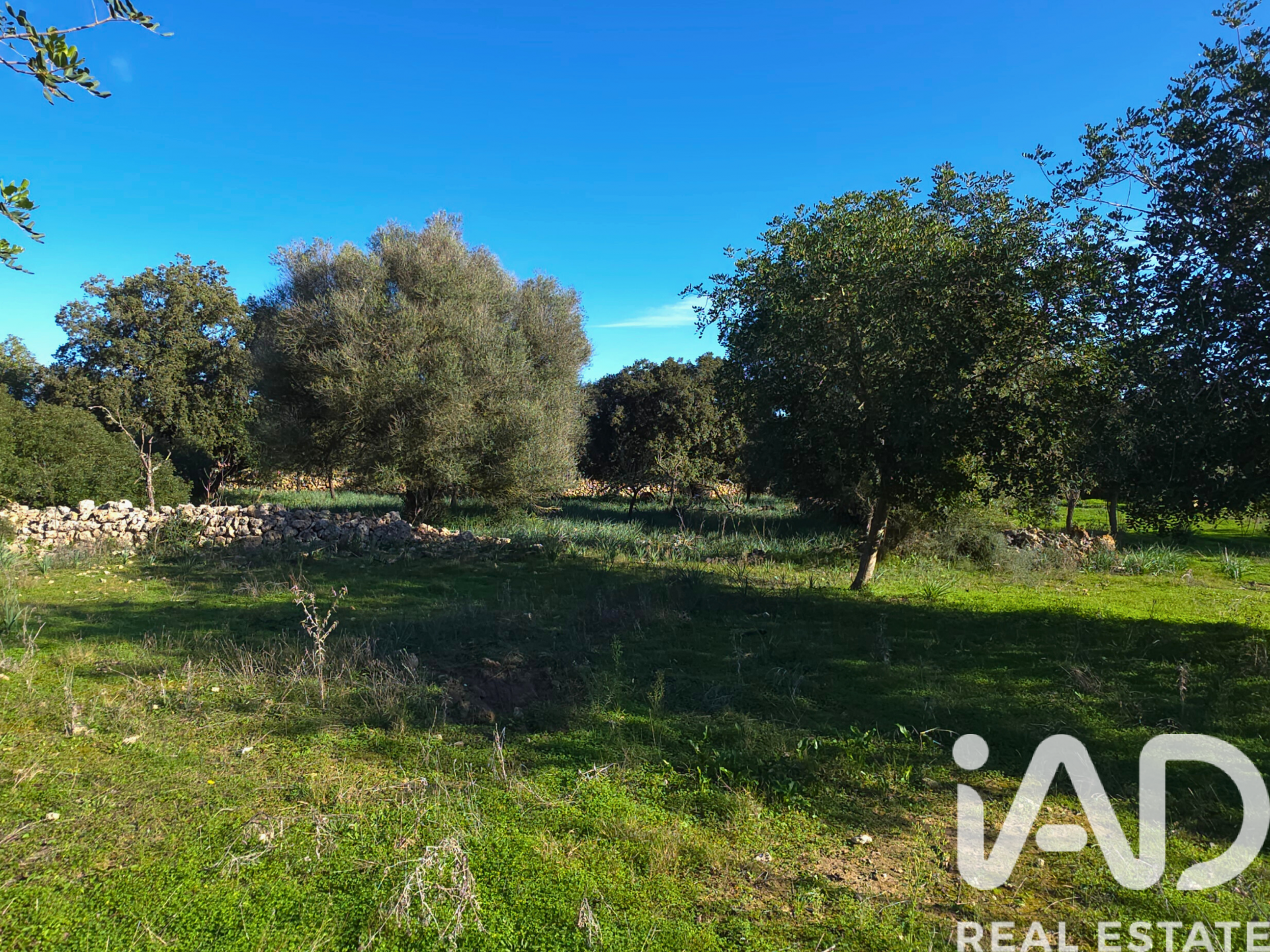 Działka w Santa Margalida, Mallorca, Hiszpania 14172 mkw. nr 185505