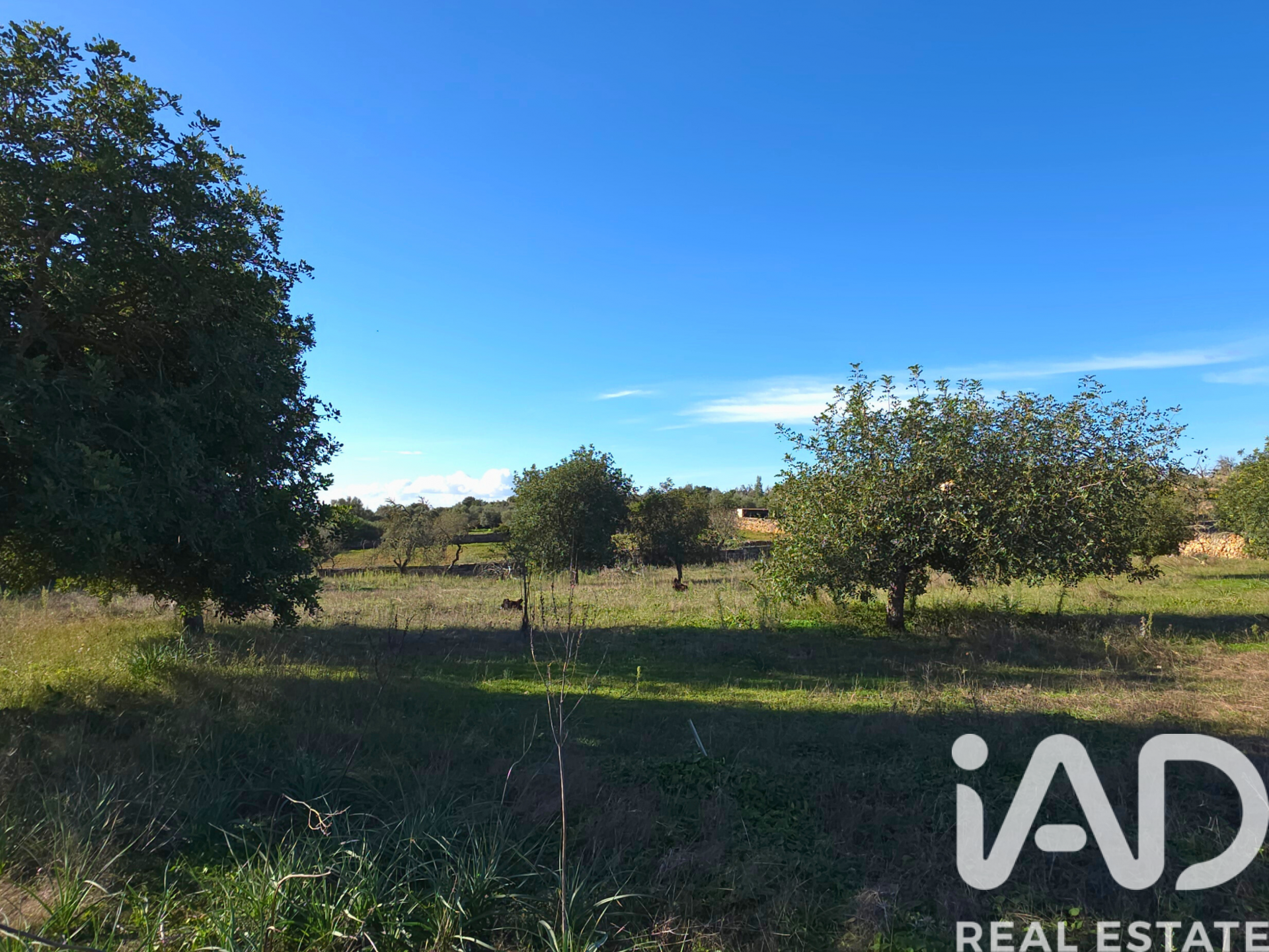 Działka w Santa Margalida, Mallorca, Hiszpania 14172 mkw. nr 185505