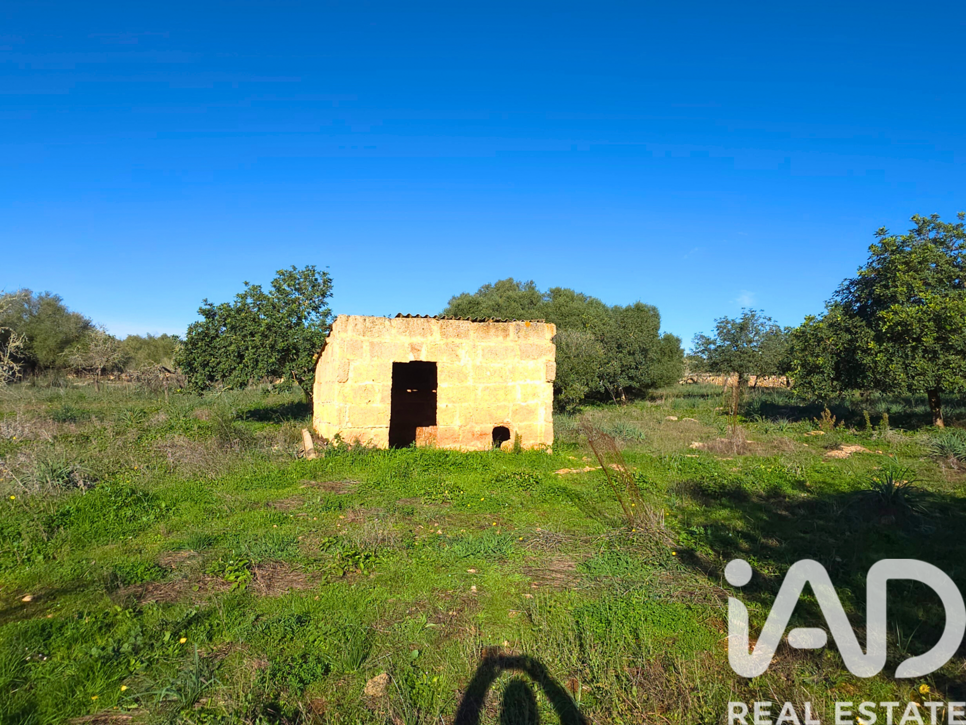 Działka w Santa Margalida, Mallorca, Hiszpania 14172 mkw. nr 185505