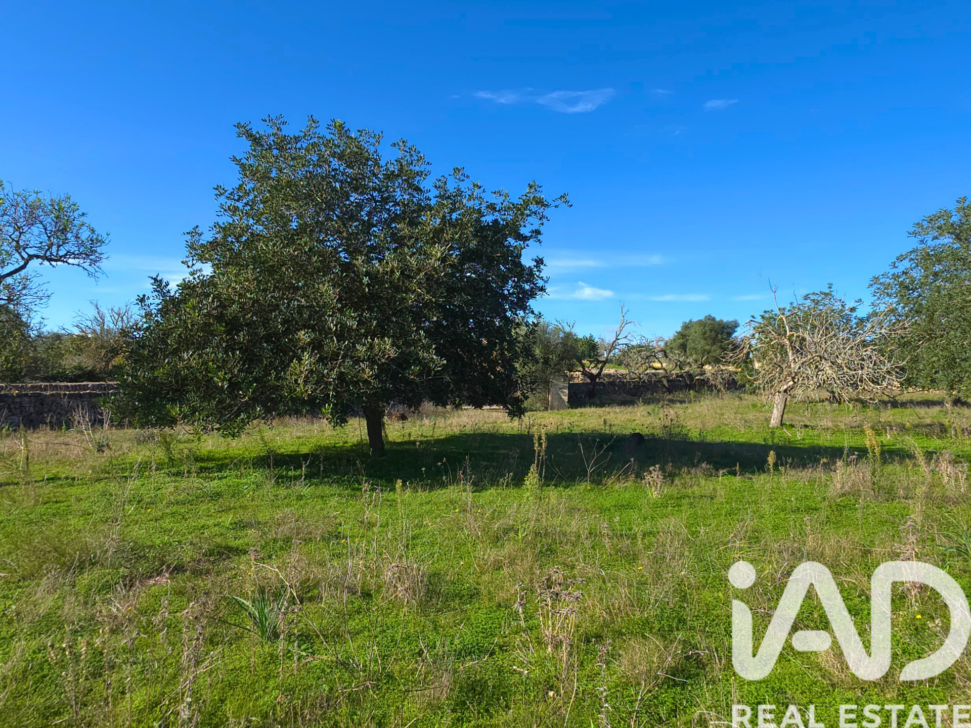 Działka w Santa Margalida, Mallorca, Hiszpania 14172 mkw. nr 185505