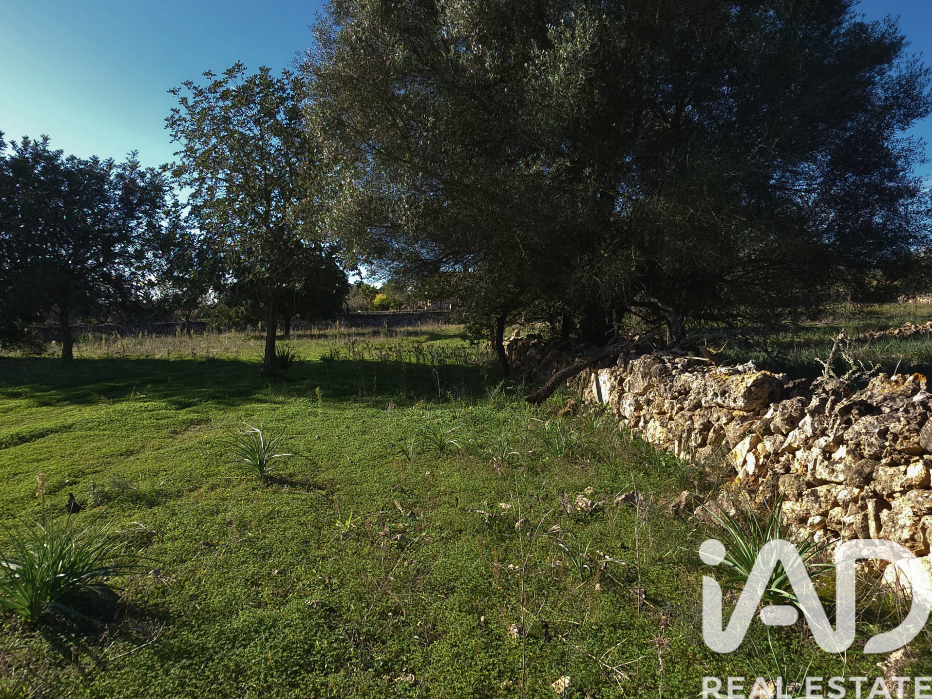 Działka w Santa Margalida, Mallorca, Hiszpania 14172 mkw. nr 185505