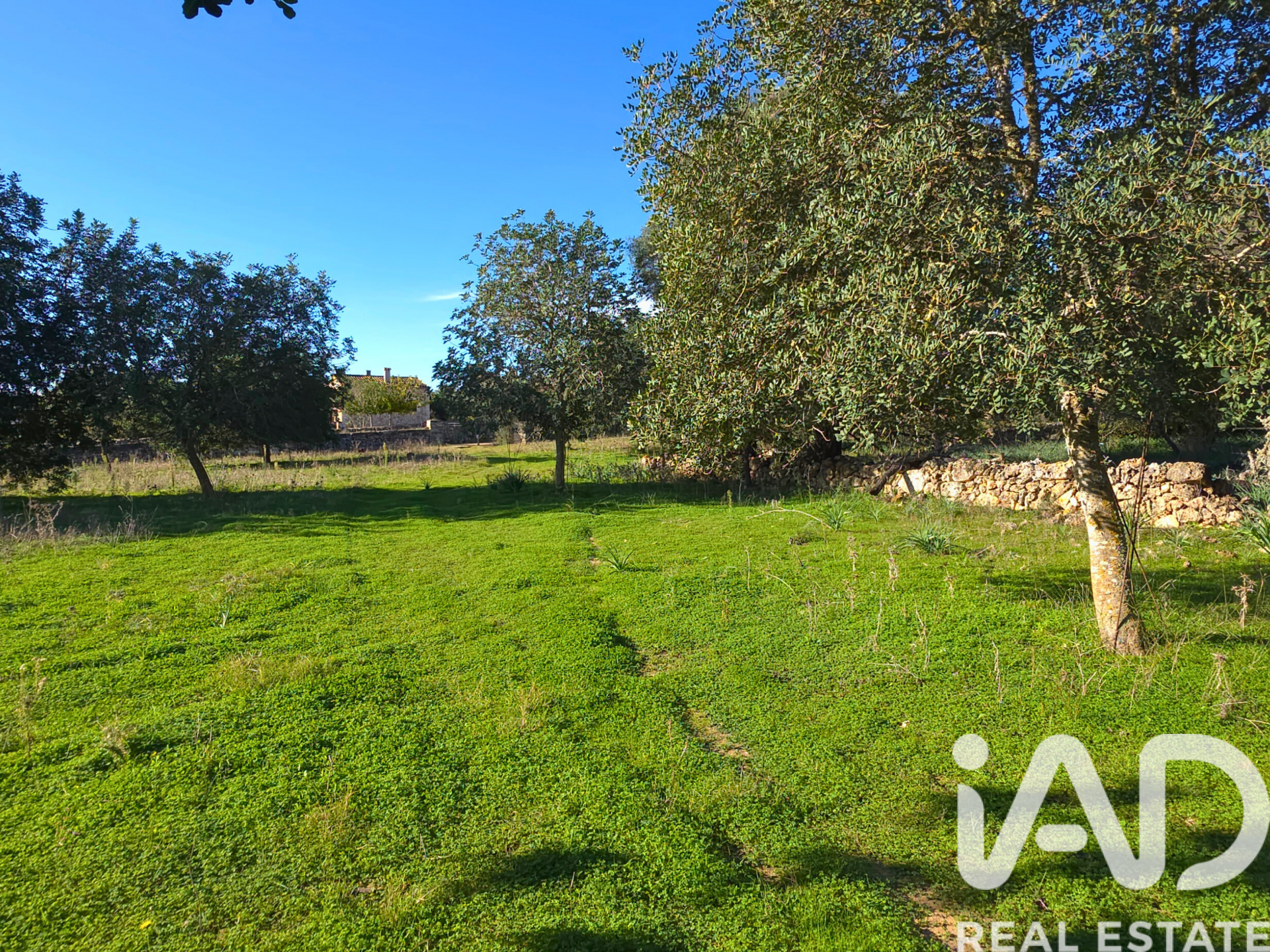Działka w Santa Margalida, Mallorca, Hiszpania 14172 mkw. nr 185505