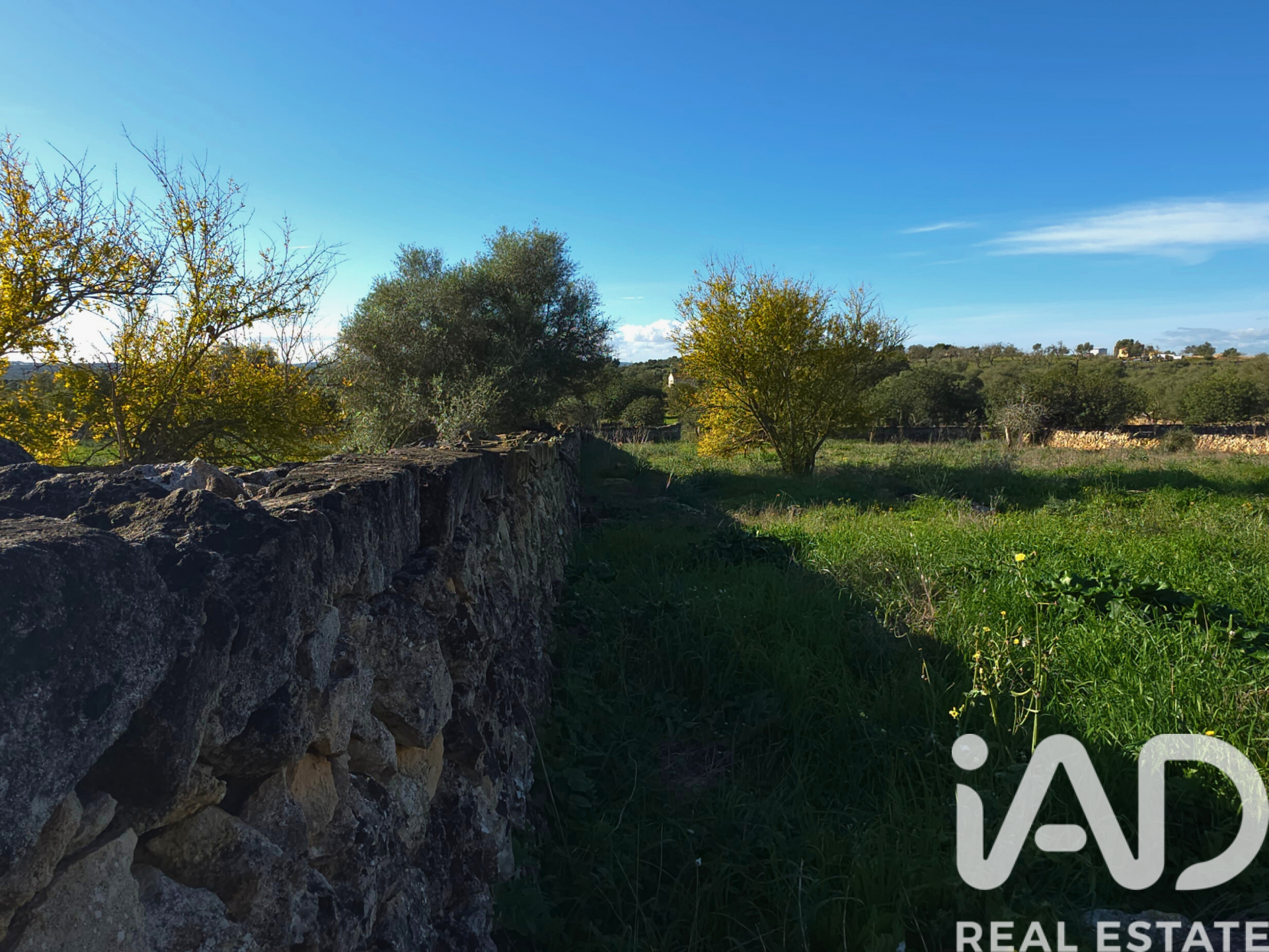 Działka w Santa Margalida, Mallorca, Hiszpania 14172 mkw. nr 185505