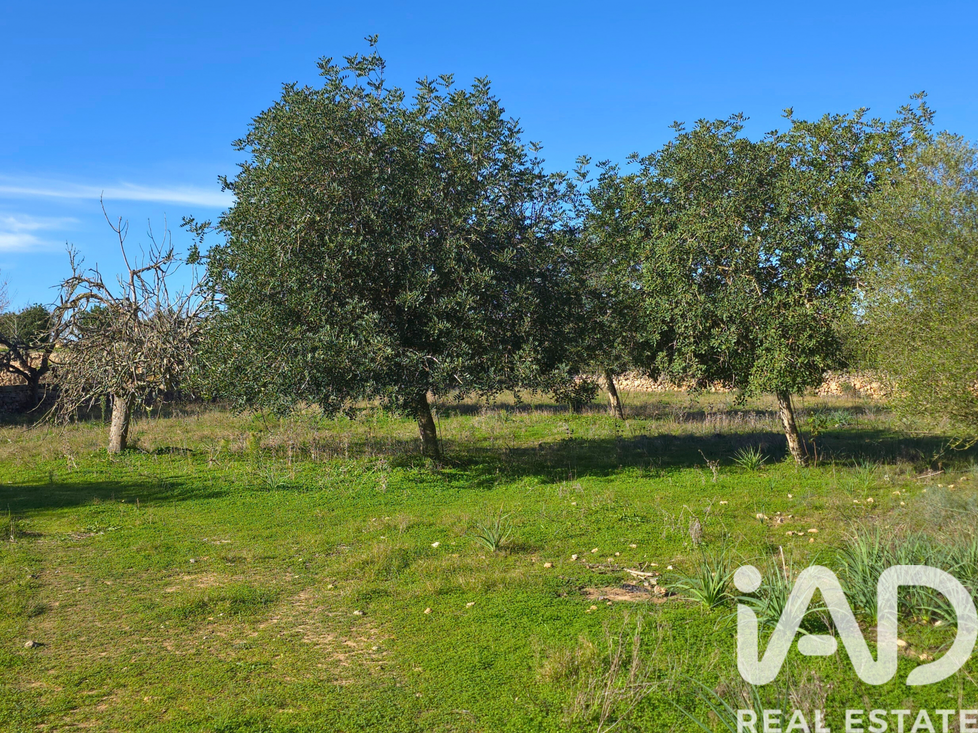 Działka w Santa Margalida, Mallorca, Hiszpania 14172 mkw. nr 185505