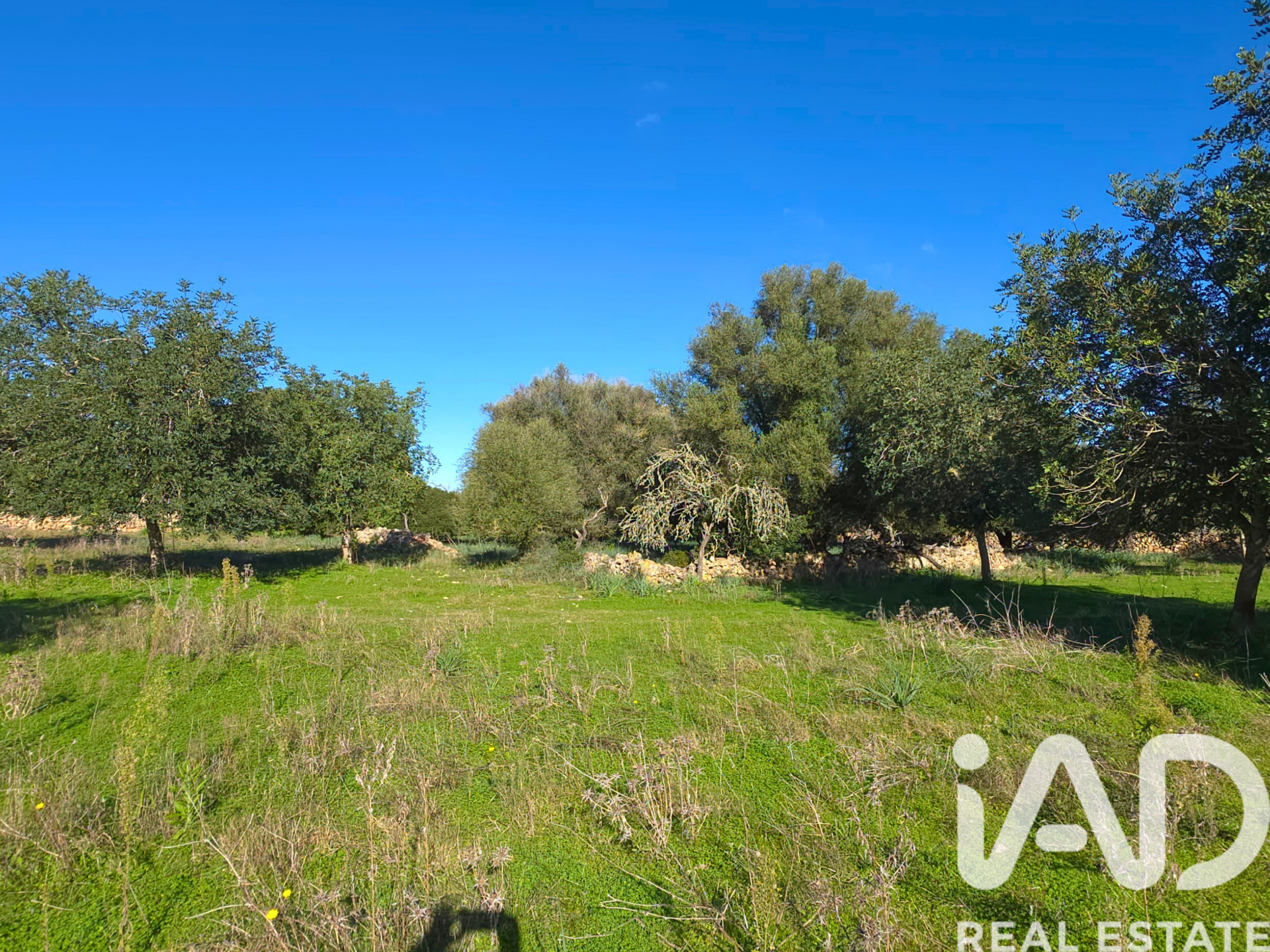 Działka w Santa Margalida, Mallorca, Hiszpania 14172 mkw. nr 185505