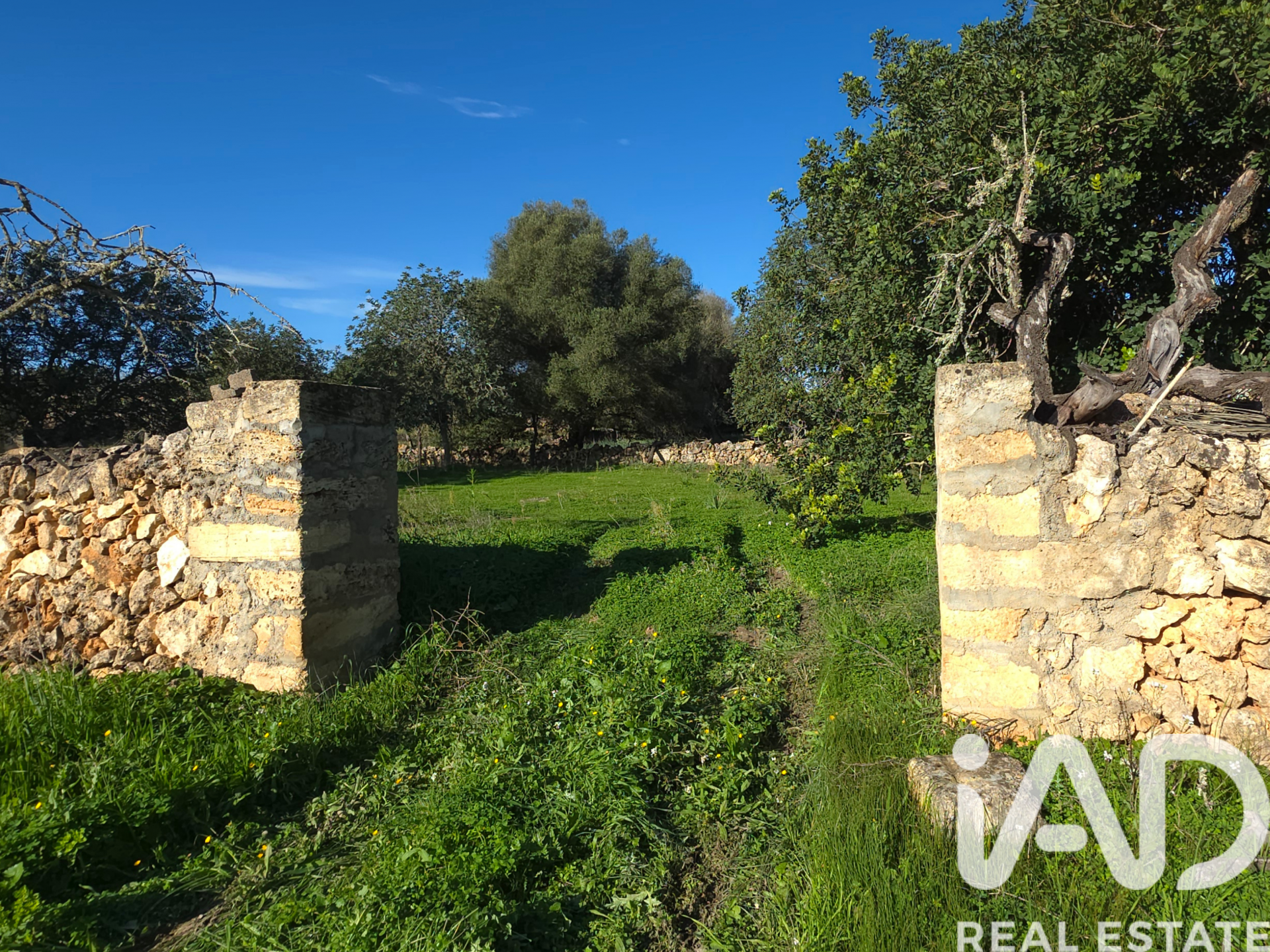 Działka w Santa Margalida, Mallorca, Hiszpania 14172 mkw. nr 185505