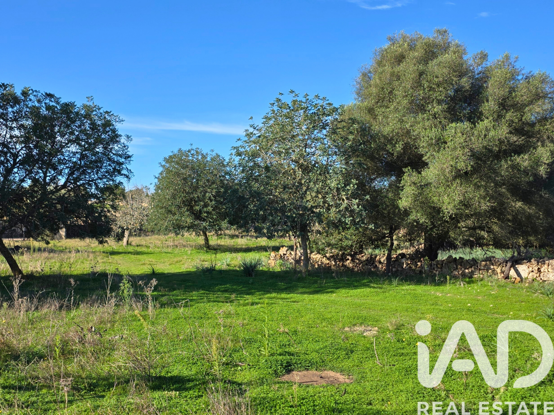 Działka w Santa Margalida, Mallorca, Hiszpania 14172 mkw. nr 185505