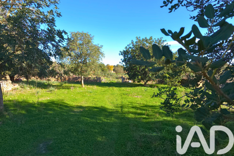 Tontti Santa Margalida, Mallorca, Espanja 14172 m2 No. 185505