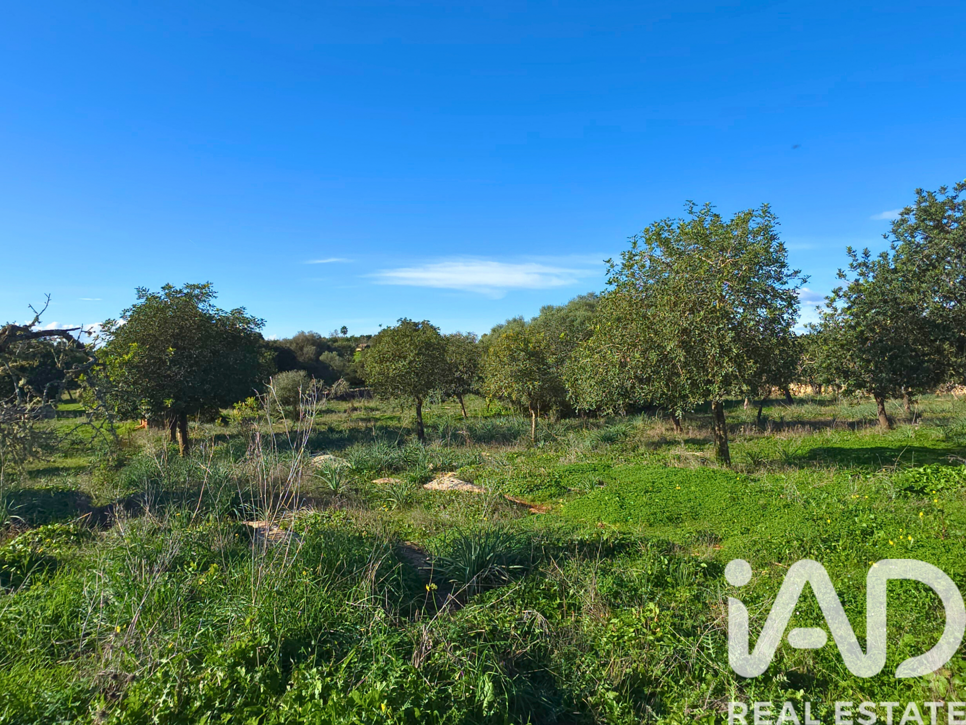 Działka w Santa Margalida, Mallorca, Hiszpania 14172 mkw. nr 185505