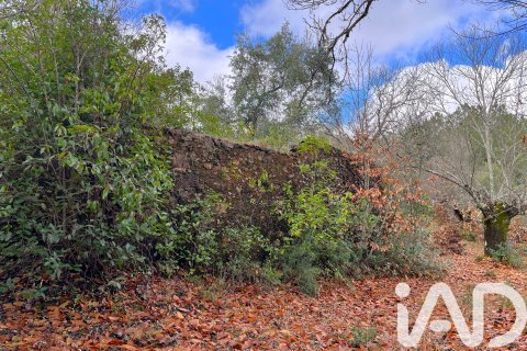 Land plot à Galaroza, Huelva, Espagne 20000 m2 No. 185400