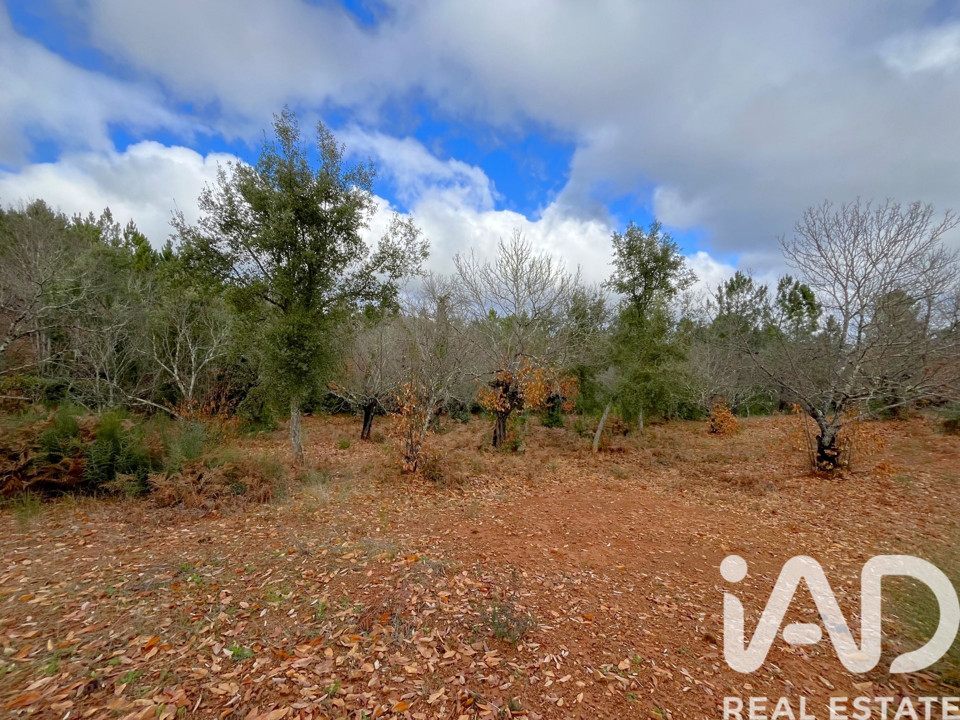 Terreno a Galaroza, Huelva, Spagna 20000 mq. N° 185400