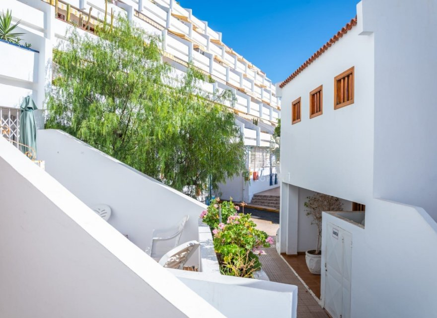 Appartamento a Tenerife, Spagna 1 camera da letto, 35 mq. N° 194479