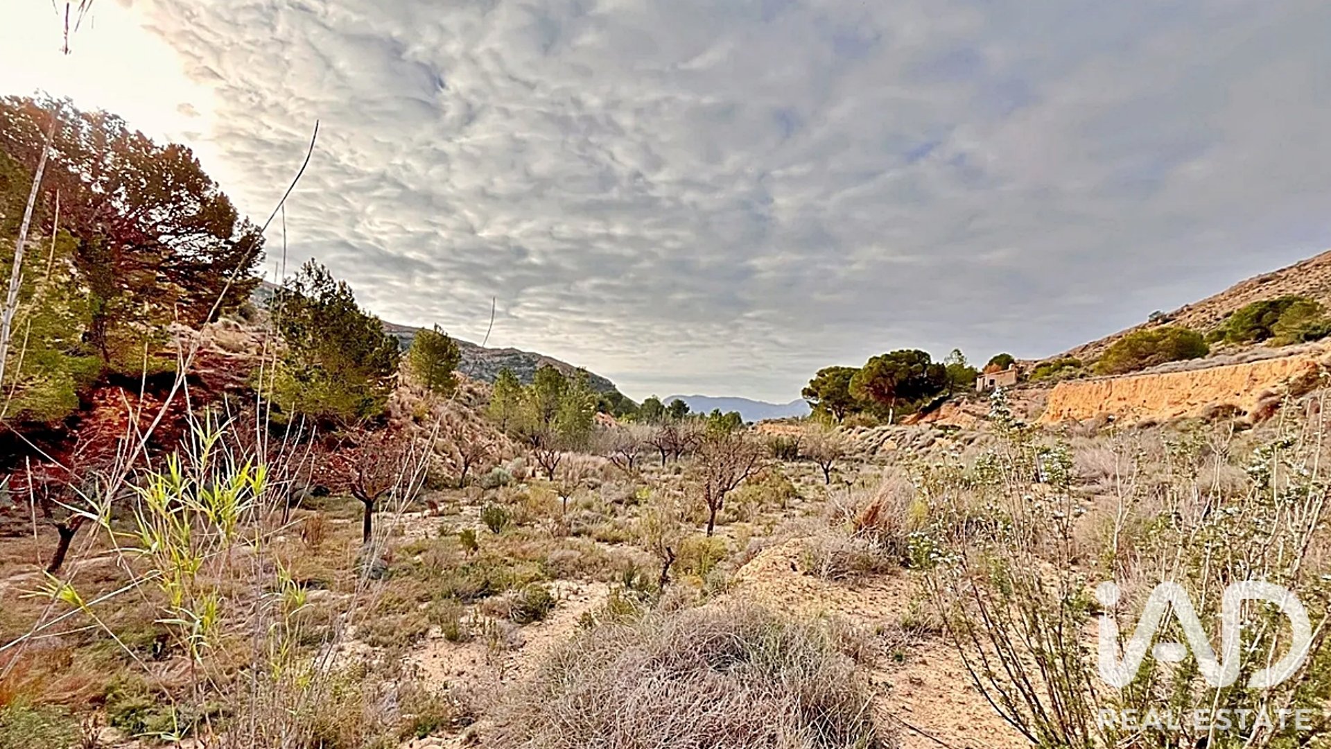 Zemes gabals Agost, Alicante, Spānijā 9200 m2 Nr. 187719