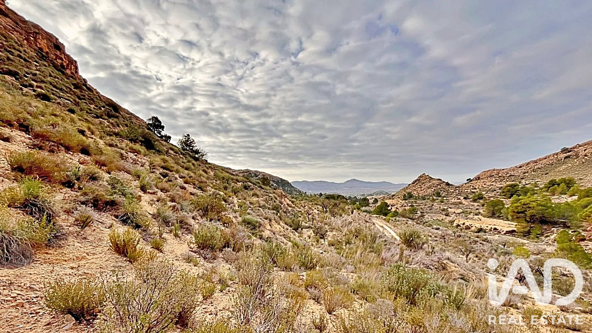 Zemes gabals Agost, Alicante, Spānijā 9200 m2 Nr. 187719