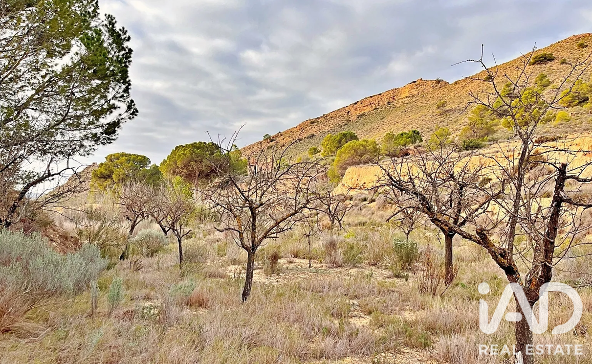Zemes gabals Agost, Alicante, Spānijā 9200 m2 Nr. 187719