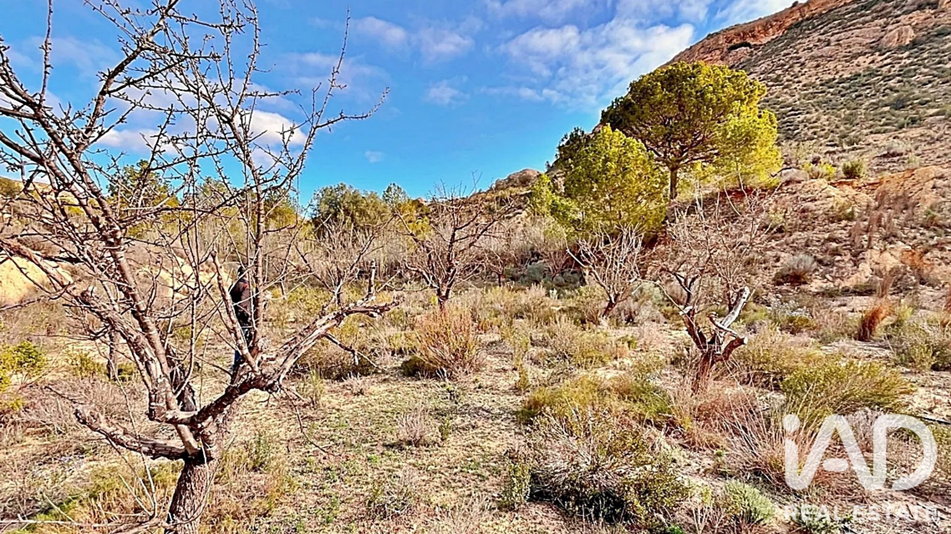 Zemes gabals Agost, Alicante, Spānijā 9200 m2 Nr. 187719