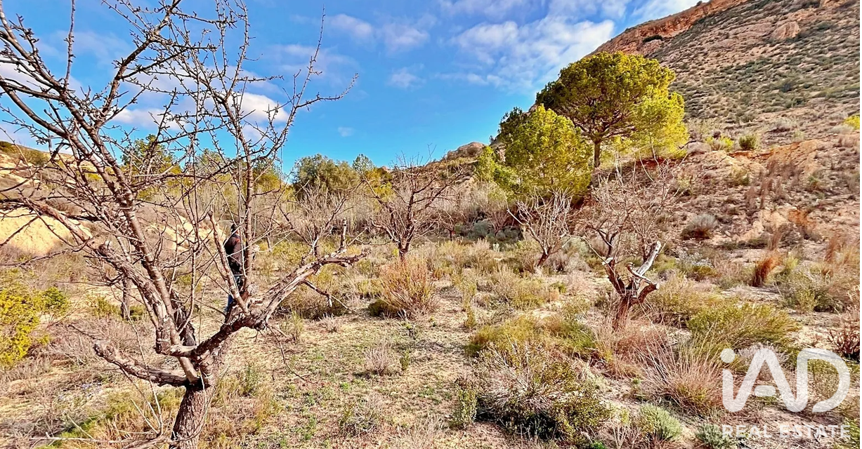 Zemes gabals Agost, Alicante, Spānijā 9200 m2 Nr. 187719