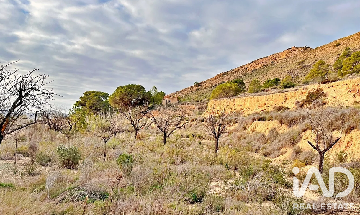 Zemes gabals Agost, Alicante, Spānijā 9200 m2 Nr. 187719