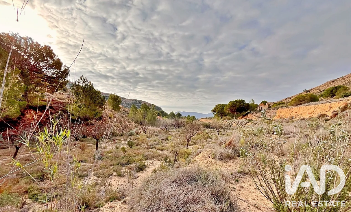 Zemes gabals Agost, Alicante, Spānijā 9200 m2 Nr. 187719