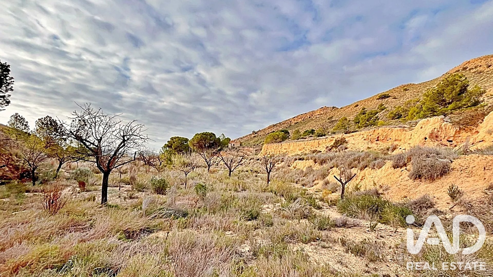 Zemes gabals Agost, Alicante, Spānijā 9200 m2 Nr. 187719