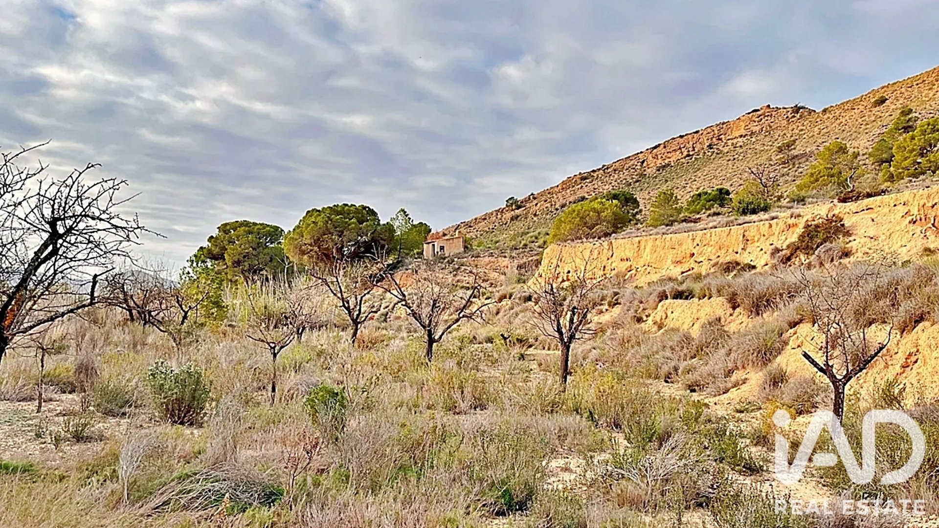 Zemes gabals Agost, Alicante, Spānijā 9200 m2 Nr. 187719