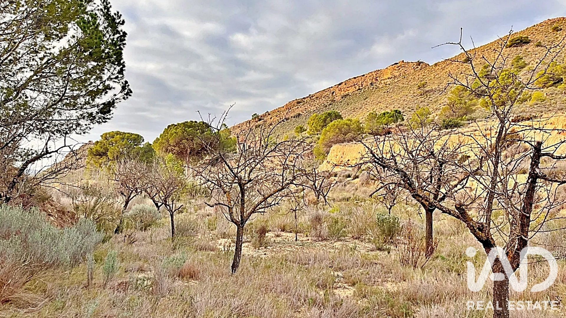 Zemes gabals Agost, Alicante, Spānijā 9200 m2 Nr. 187719