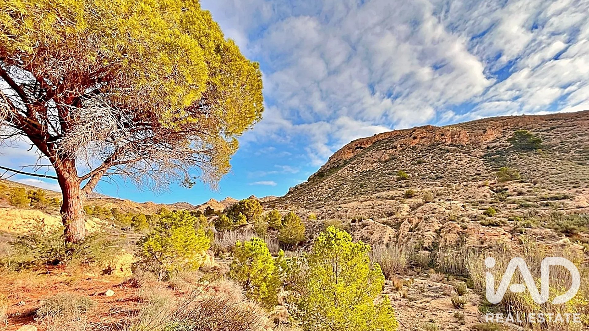Zemes gabals Agost, Alicante, Spānijā 9200 m2 Nr. 187719