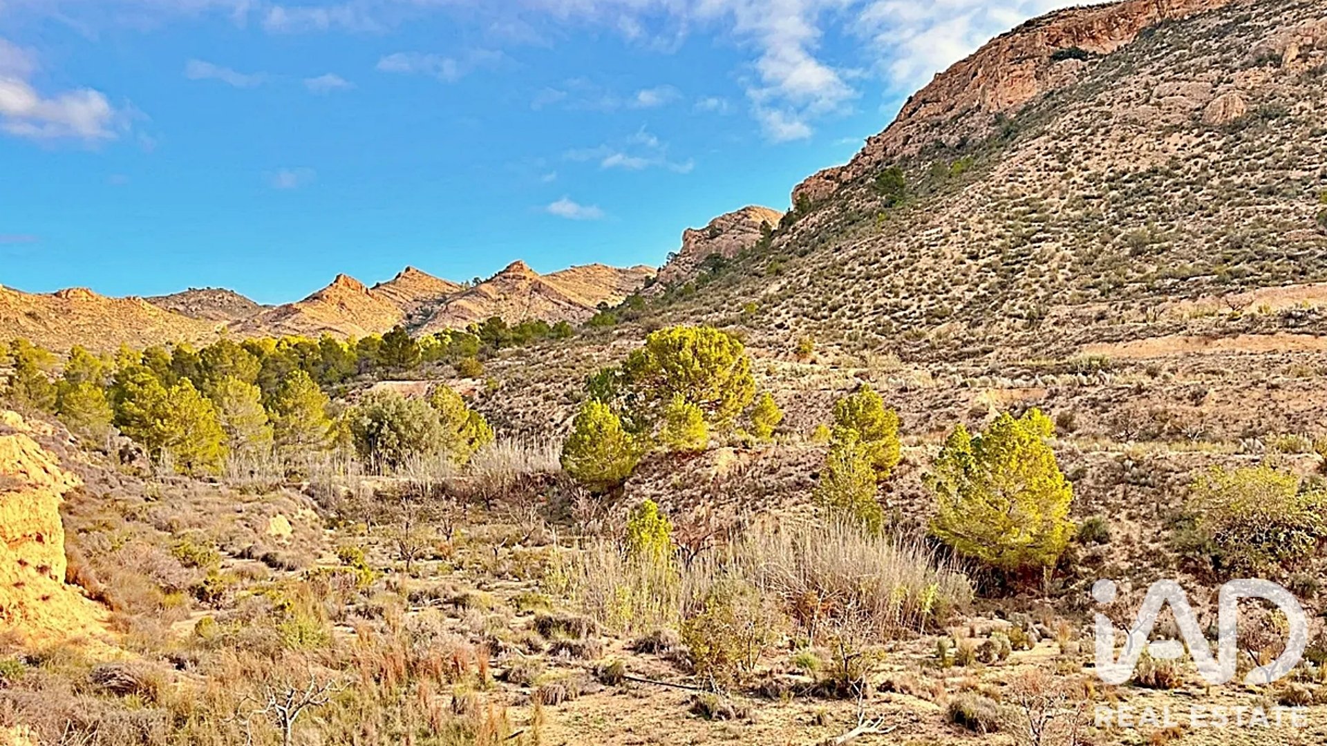 Zemes gabals Agost, Alicante, Spānijā 9200 m2 Nr. 187719