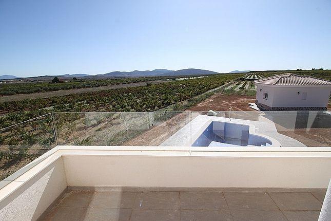 Villa en Pinoso, Alicante, España 4 dormitorios, 150 m2 No. 103424