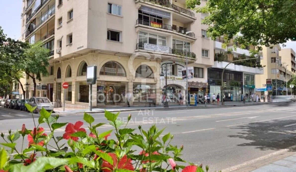 Propiedad comercial en Marbella, Málaga, España 386 m2 No. 157302