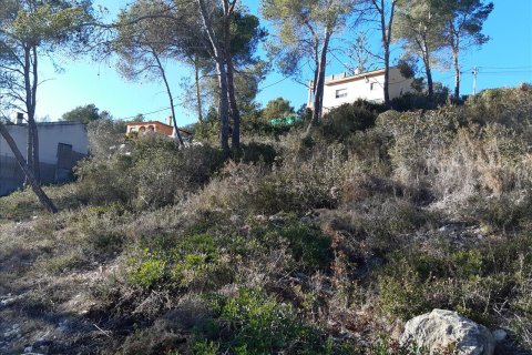 Land plot in Olivella, Barcelona, Spain No. 191243