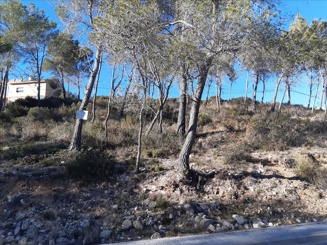 Tomt i Olivella, Barcelona, Spanien Nr. 191243