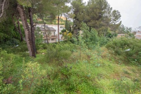 Land in Alicante, Spanien Nr. 180003