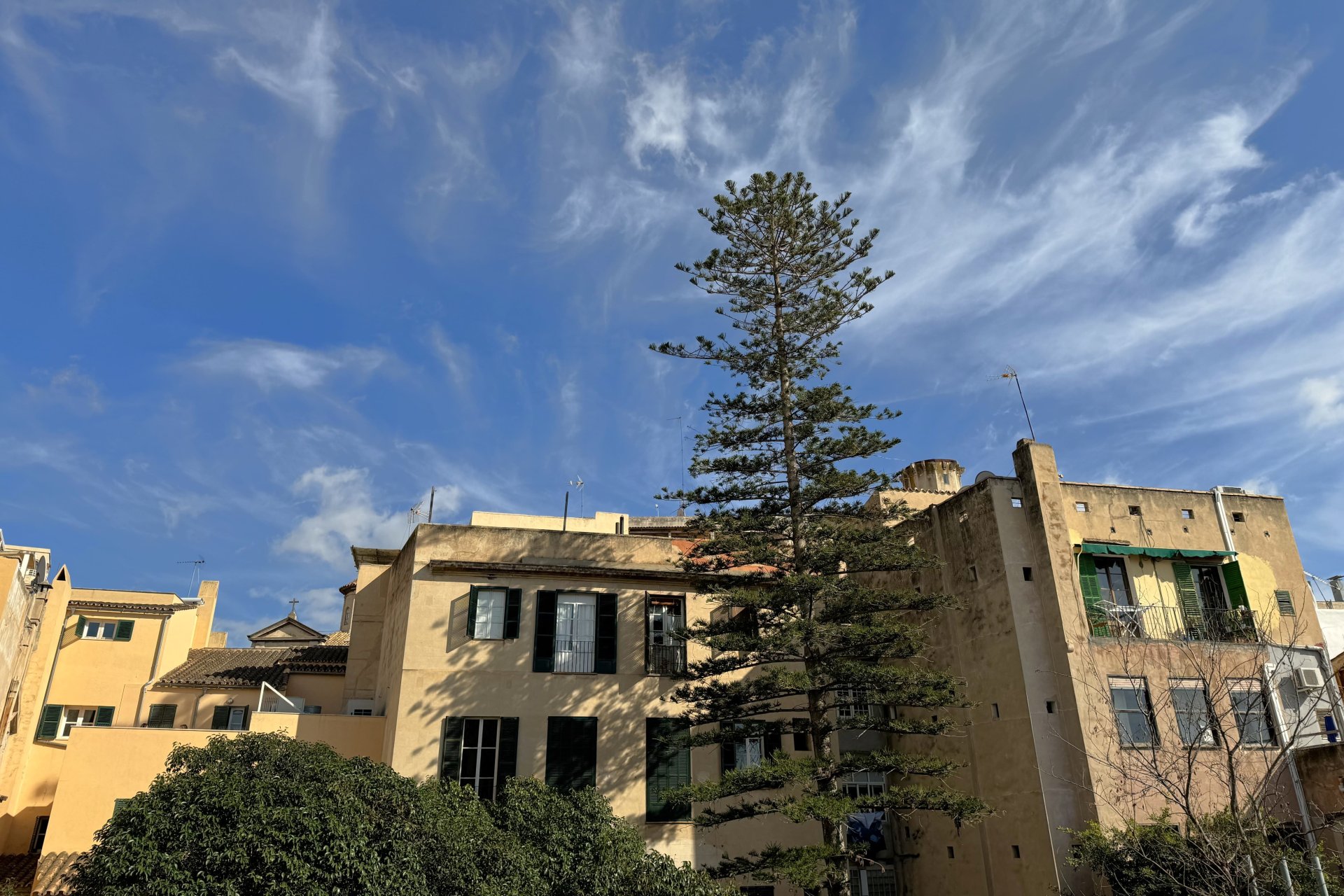 Dzīvoklis Palma de Majorca, Mallorca, Spānijā 2 istabas, 109 m2 Nr. 195944