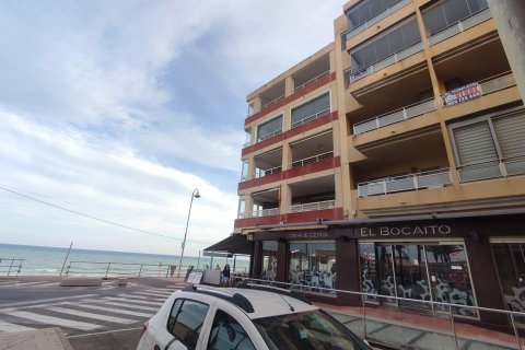 Apartment in Guardamar del Segura, Alicante, Spain 3 bedrooms, 75 sq.m. No. 80240