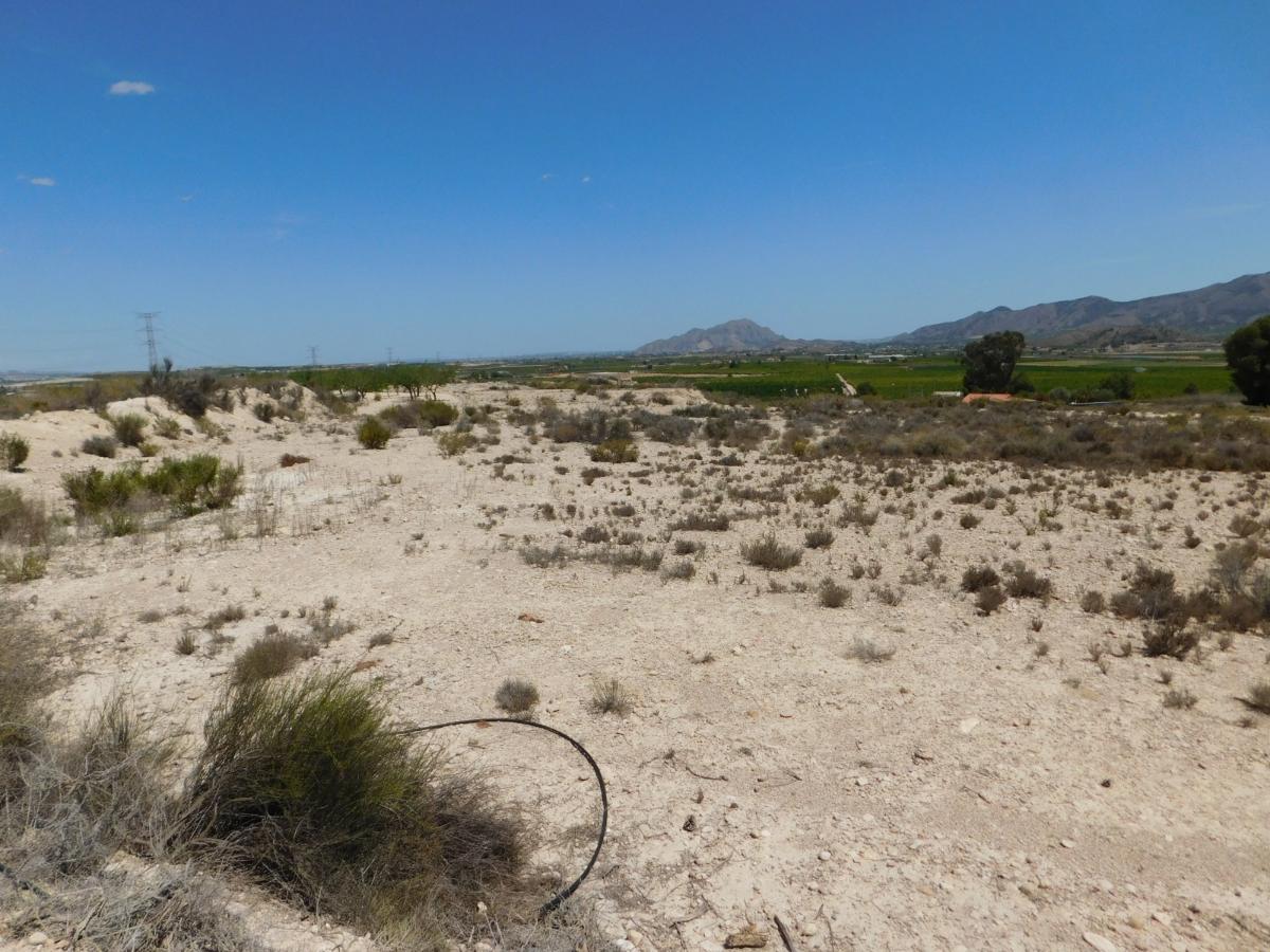 Parcela en Fortuna, Murcia, España No. 183883